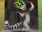 لعبة King Julien: Trommel-Tanz على الانترنت