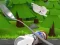 لعبة Monte's Zott: Flight on a spoon على الانترنت