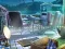 لعبة The Mysterious Creatures على الانترنت