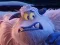 لعبة Smallfoot Puzzle على الانترنت