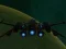 لعبة Spaceship Arena على الانترنت