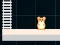 لعبة Hamster Grid Even Odd على الانترنت
