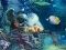 لعبة Sunken Gold على الانترنت