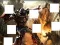 لعبة Transformers 3 image puzzles على الانترنت