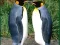 لعبة Penguin Puzzle على الانترنت