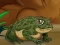 لعبة Frogs Matching على الانترنت