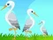 لعبة Little Garden Escape على الانترنت