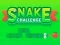 لعبة Snake Challenge على الانترنت