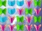 لعبة Butterfly Collector على الانترنت