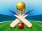 لعبة Cricket Champions Cup على الانترنت