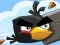 لعبة Crazy Birds على الانترنت