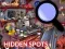 لعبة Hidden Spots In The Room على الانترنت