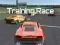 لعبة Training Race على الانترنت