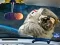 لعبة Space Find The Differences على الانترنت