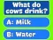 لعبة Trivia Best Family Quiz على الانترنت