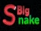 لعبة Big Snake.io على الانترنت