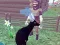 لعبة Deer Simulator 3D على الانترنت