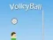 لعبة VolleyBall على الانترنت