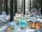 لعبة Winter Wonderland Forest Adventure على الانترنت