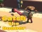 لعبة Catsh the robber على الانترنت