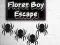 لعبة Floret Boy Escape على الانترنت