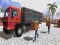 لعبة Asian offroad cargo truck driver على الانترنت