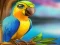 لعبة Little Parrot Escape على الانترنت