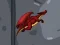 لعبة Dragon Domination على الانترنت