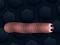 لعبة Math Slither على الانترنت