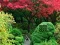 لعبة Maple Leaf Garden Escape على الانترنت