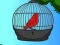 لعبة Red Bird Rescue على الانترنت