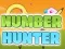 لعبة Number Hunter على الانترنت