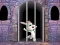 لعبة Victory Rabbit Escape على الانترنت