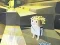 لعبة Kogama: Adventure على الانترنت