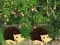 لعبة Escape From Mango Farm على الانترنت