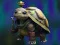 لعبة Isolated Turtle Escape على الانترنت
