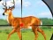 لعبة Wild Hunt Hunting Games 3D على الانترنت