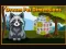 لعبة Dream Pet Dimensions على الانترنت