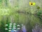 لعبة Sunlight Forest Adventure على الانترنت