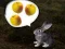 لعبة The Foggy Forest على الانترنت