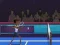 لعبة Badminton Brawl على الانترنت