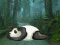 لعبة Wakeup The Sleeping Panda على الانترنت