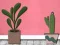 لعبة Find Houseplant على الانترنت