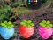 لعبة Escape From Fascinated Jungle على الانترنت