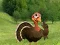 لعبة Ready To The Thanksgiving Party على الانترنت