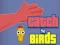 لعبة Catch the Birds على الانترنت