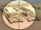 لعبة Camo Sniper على الانترنت