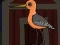 لعبة Cute Godwit Escape على الانترنت