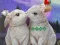 لعبة Rescue The Cupid على الانترنت