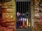 لعبة Hidden Cat Escape على الانترنت